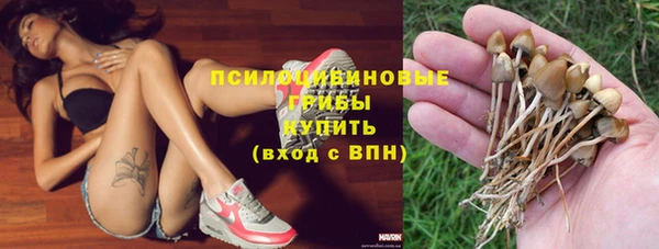 гидра Алзамай