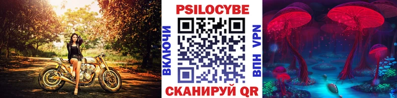 Псилоцибиновые грибы Psilocybine cubensis  хочу   Анапа 